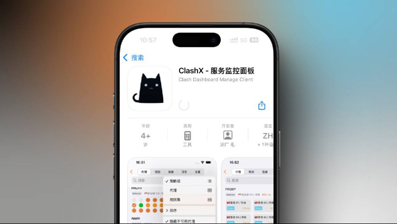 ClashX - 服务监控面板并非网络代理服务，只是数据面板